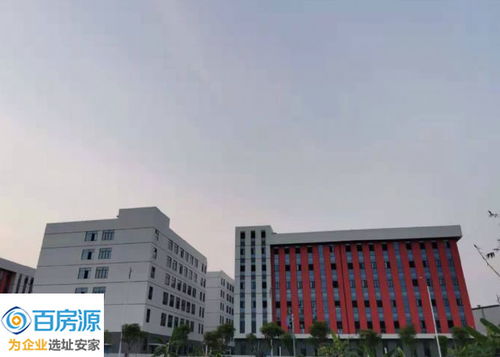 探訪南寧最大電子信息產(chǎn)業(yè)園 十一科技項(xiàng)目驅(qū)動(dòng)區(qū)域新升級(jí)