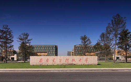 西電學子創新研發果蔬自助電子秤，圖像識別技術引領智能結算新潮流